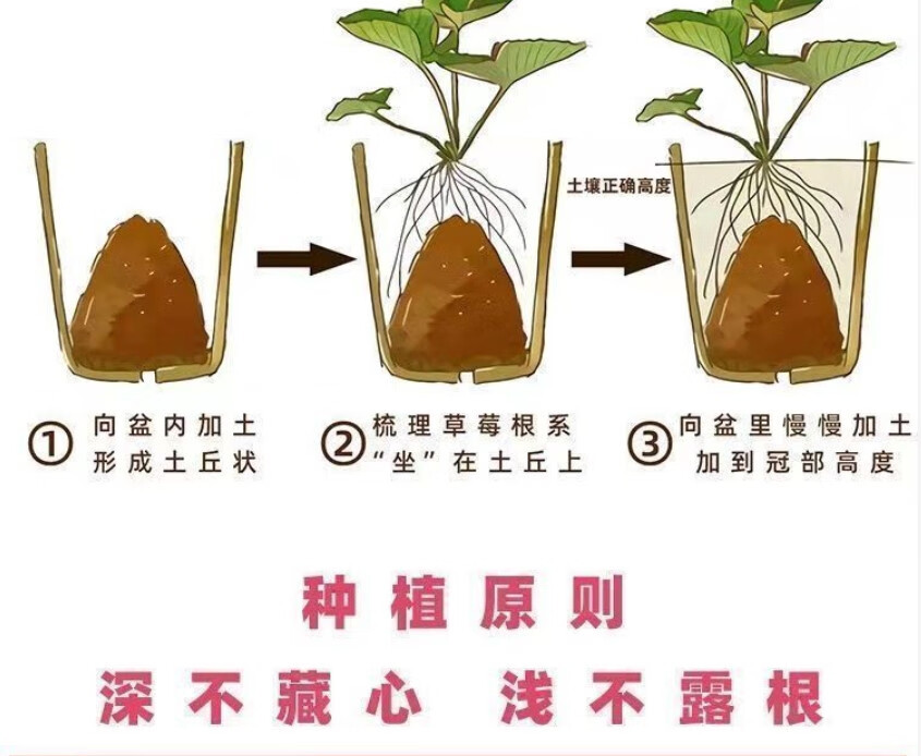 8d9b3ae118bda209.jpg