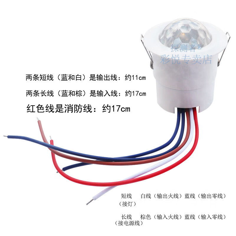 e290c83c075f8604.jpg