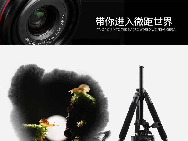 a96e459f672210e7.jpg