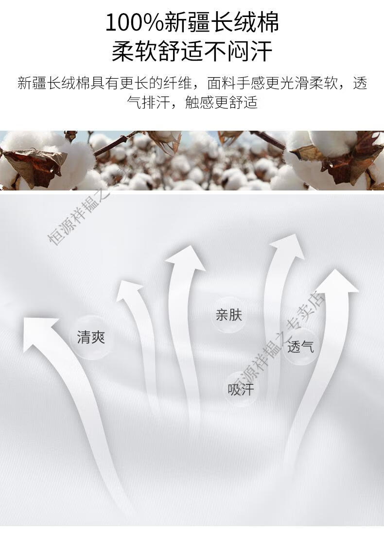 d14082ed4212574d.jpg