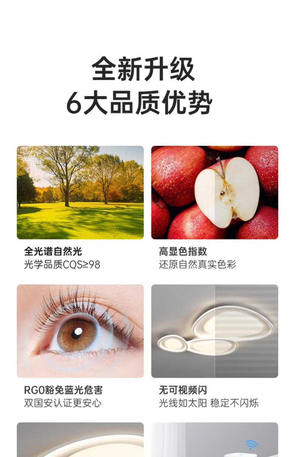 8e655f1bde2747cf.jpg