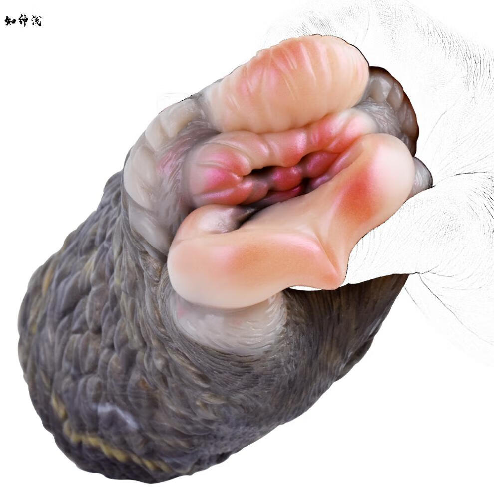 9d40f4d461471ede.jpg