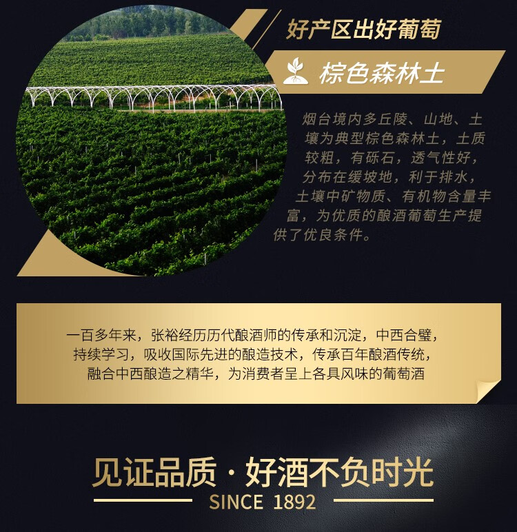 bc2d32403f50b888.jpg
