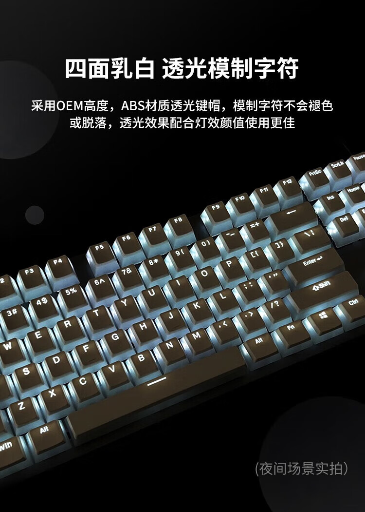 53bea5c301744a47.jpg