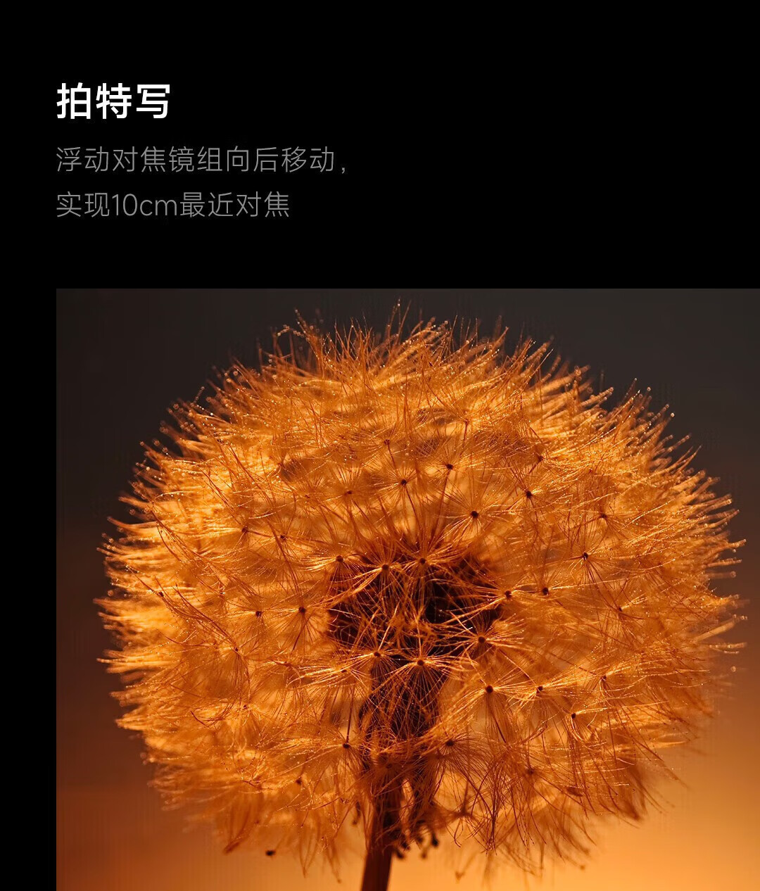 c85db060df40740f.jpg