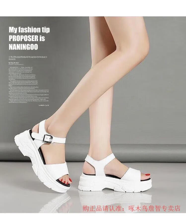 d470aee24abf9294.jpg