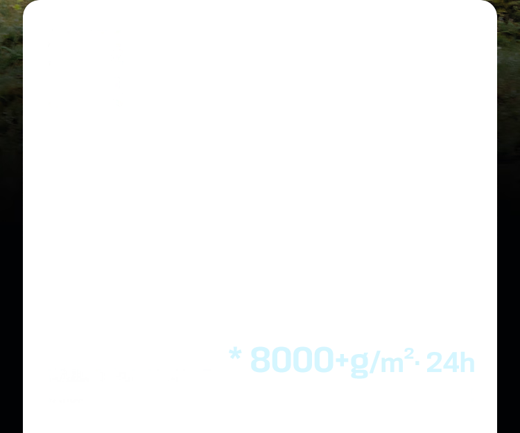 59ebd5c726835da4.png