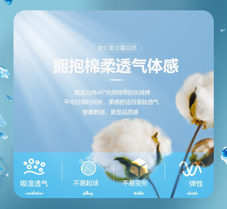 5f7981d3876d387d.jpg