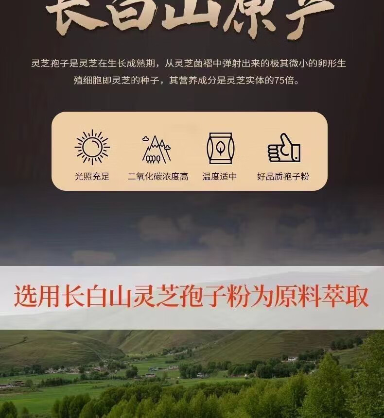 311c58d354e489bc.jpg