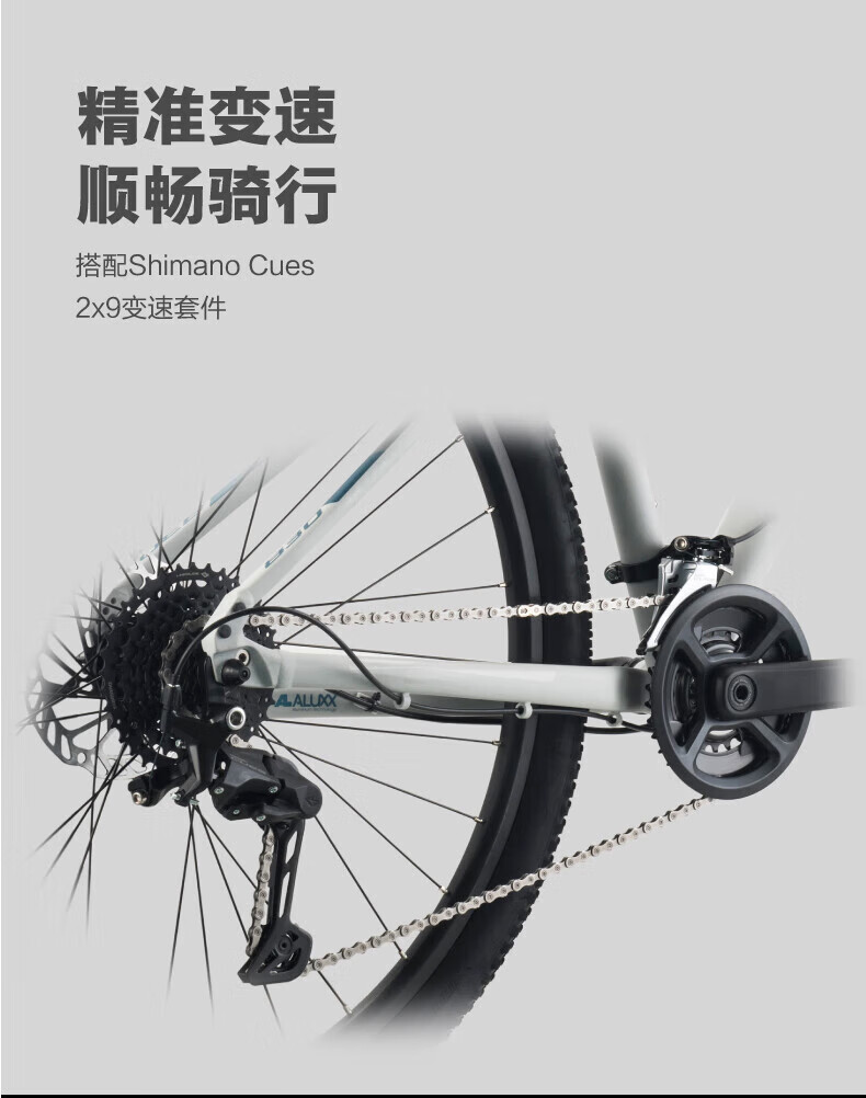 20ff5e4a5ec03853.jpg