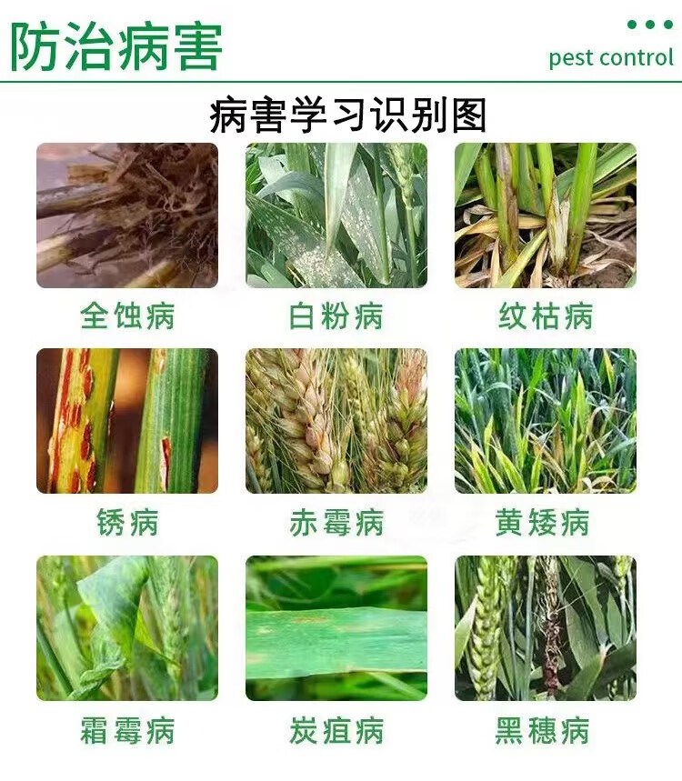 4a9ebf4019ab455e.jpg