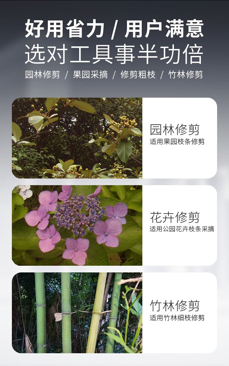 c6fb4063a76f42d7.jpg