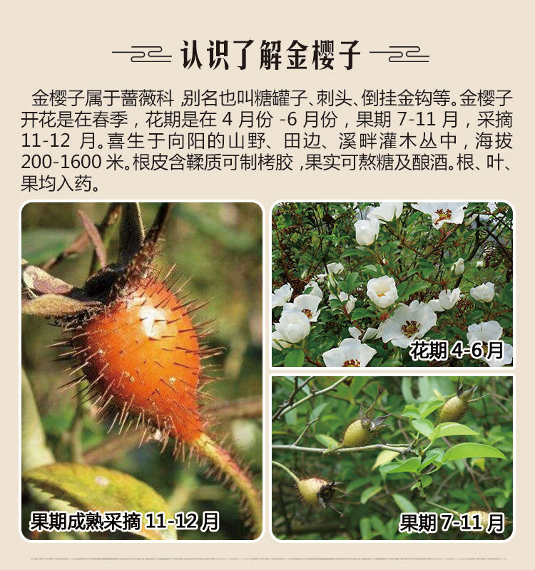 伟博金樱子500g大别山新鲜干货刺梨子金英子山石榴泡酒可搭中药材