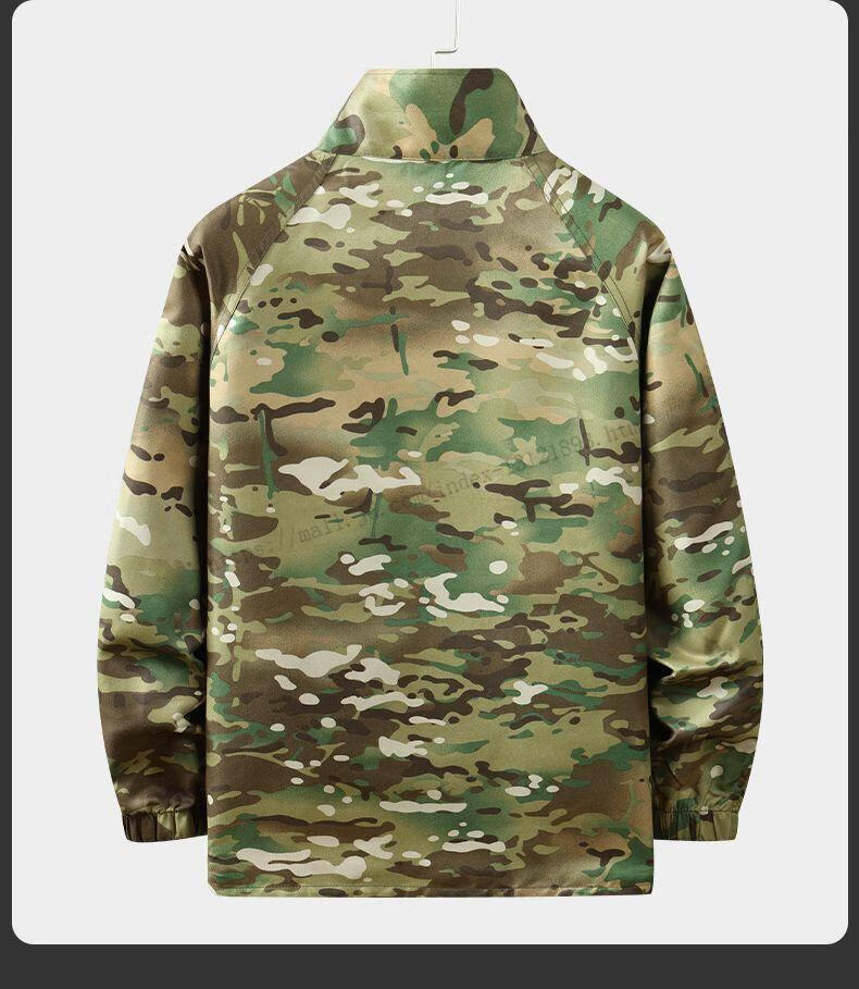 7bba2cc0acf7e8b5.jpg' style=