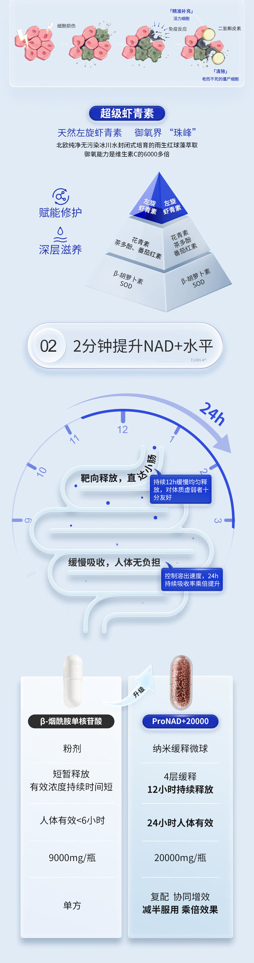 e53361c3fa98f18f.jpg