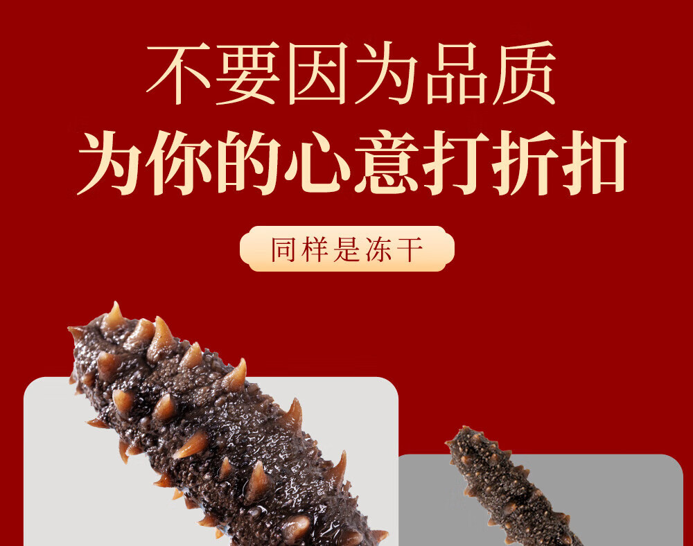 37fe73c2b6f37fa4.jpg