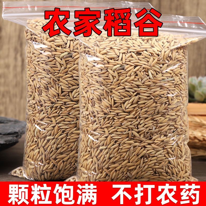 6ca894b547a4414b.jpg