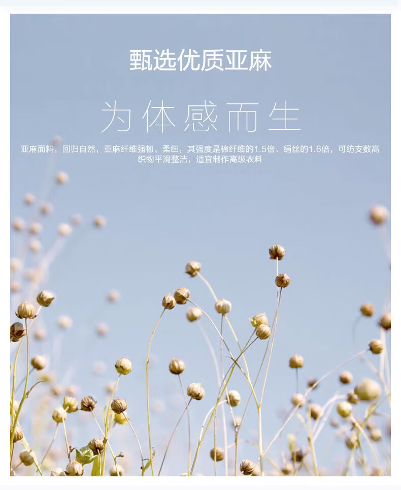78880a0cec316ace.jpg