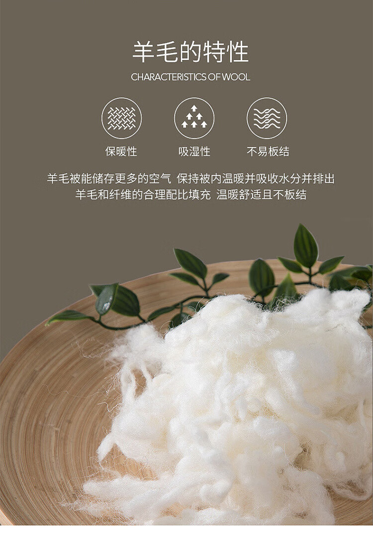 694391eae253d380.jpg