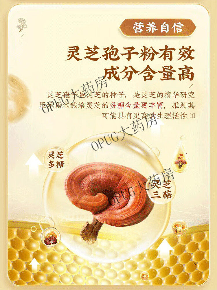 af8859f1138ff3f1.png
