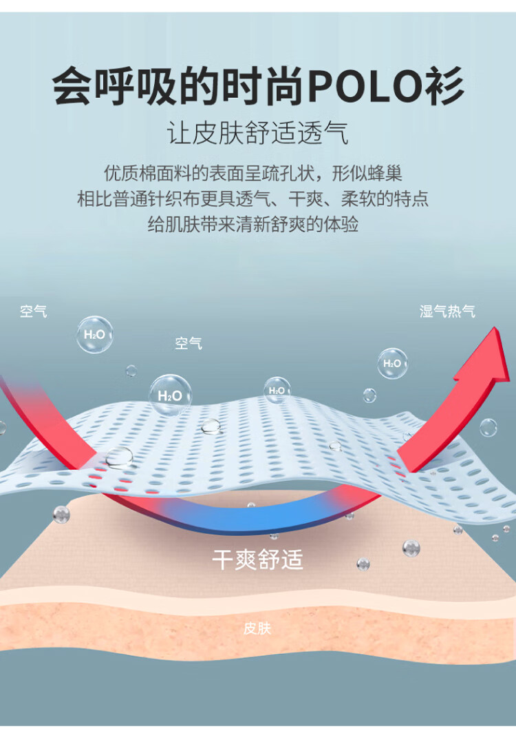 a0bcd4de25740478.jpg