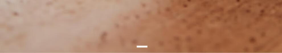 63702b8e4711e427.jpg