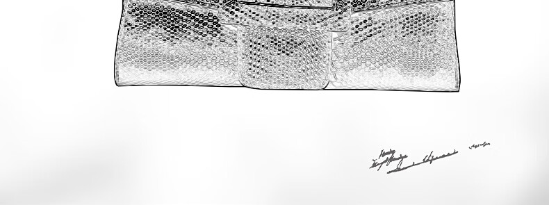 ece8dc1c112566f6.jpg