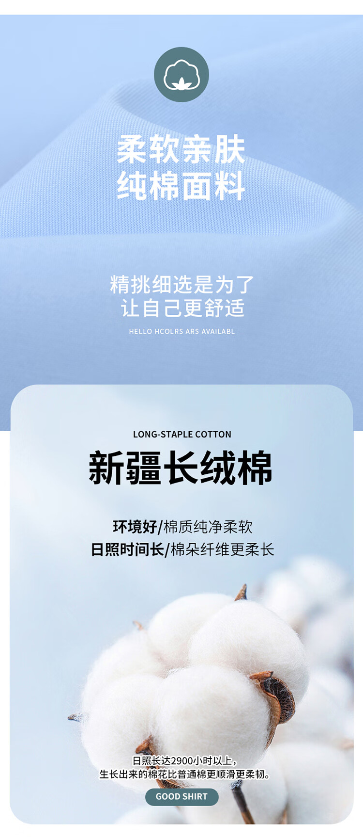 c33800c329017dd6.jpg