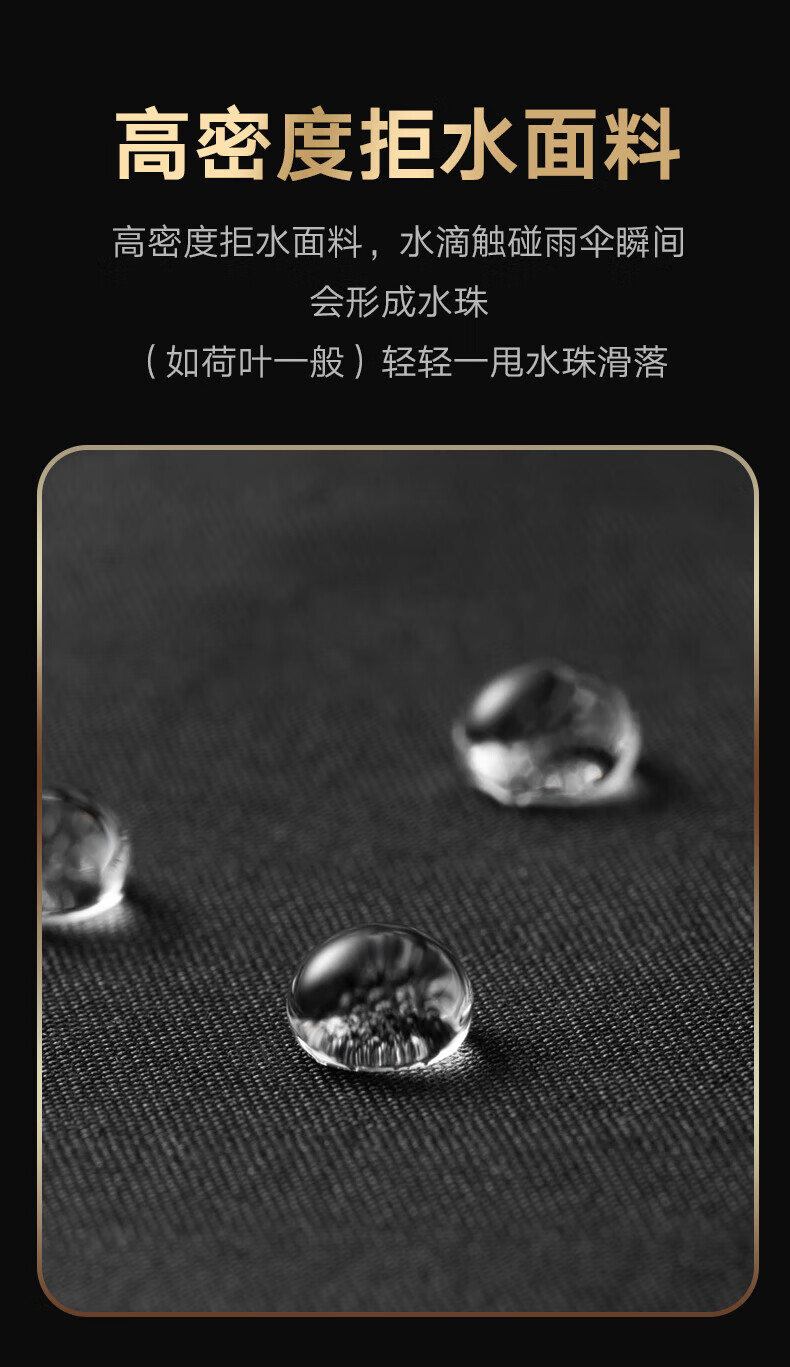 d6cb87ea3b9cc6f8.jpg