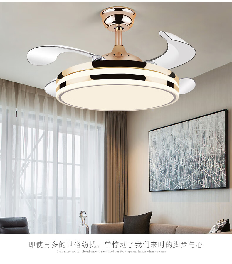a529607489eaea63.jpg