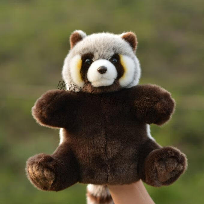 石仿真小浣熊手偶little raccoon腹语道具教学用品毛绒玩具公仔玩偶