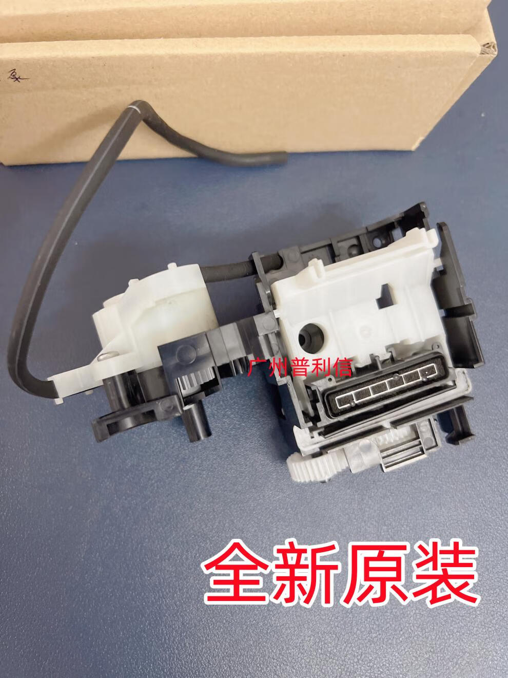 f1da225f9d5993e1.jpg