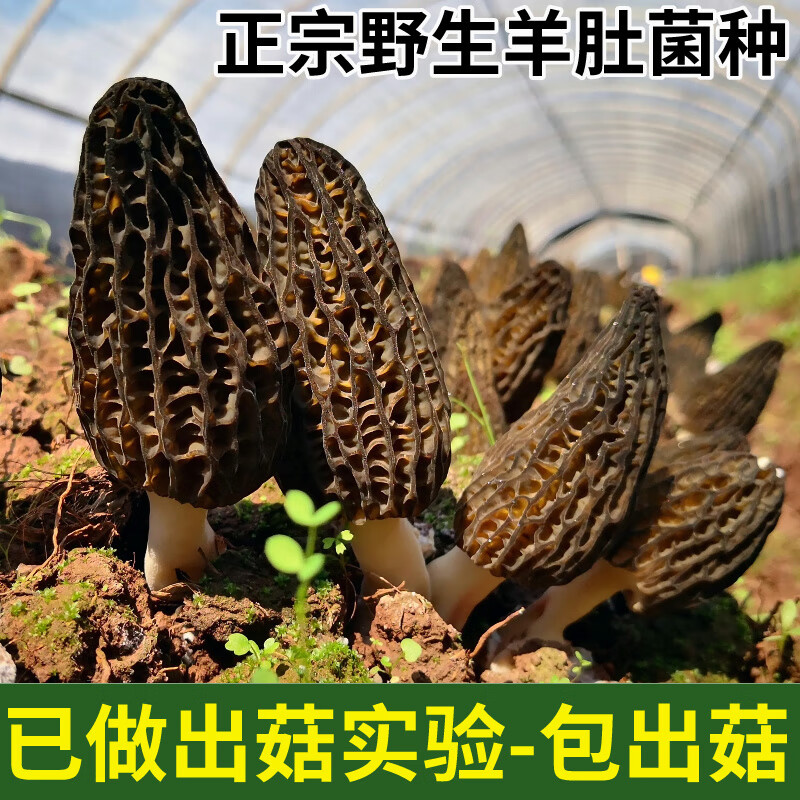cf361df7d77608be.jpg