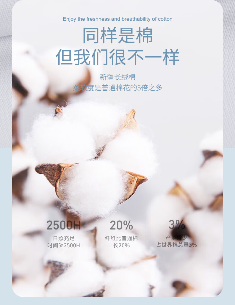 dd5307f9326a36f0.jpg
