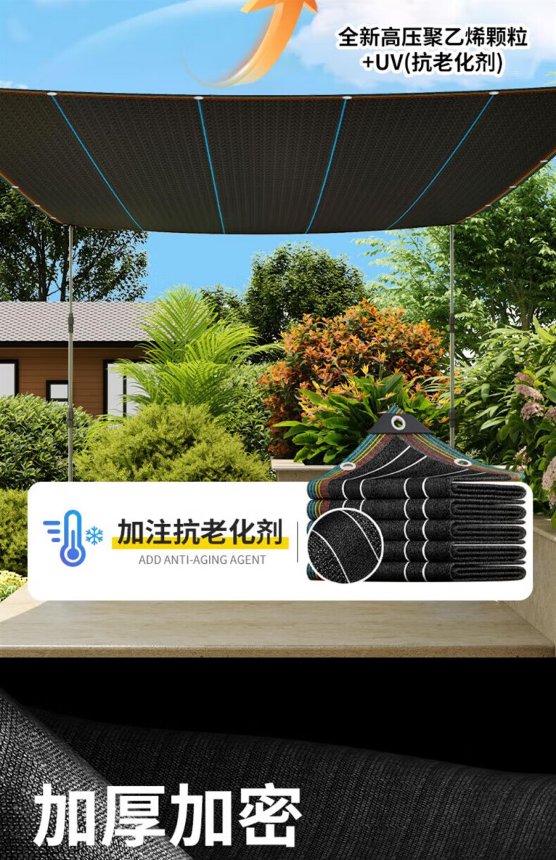 80997a6665bed3b5.jpg