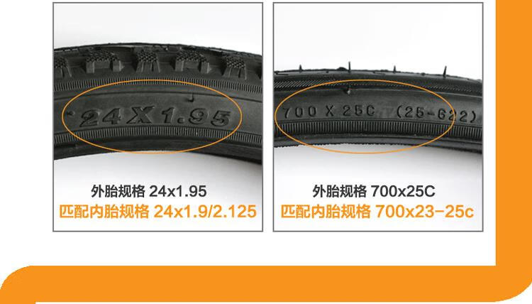 bd8b33ece02617d0.jpg