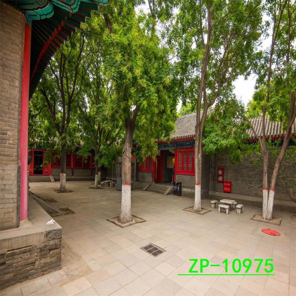 c5752ed7a2e29b7d.jpg