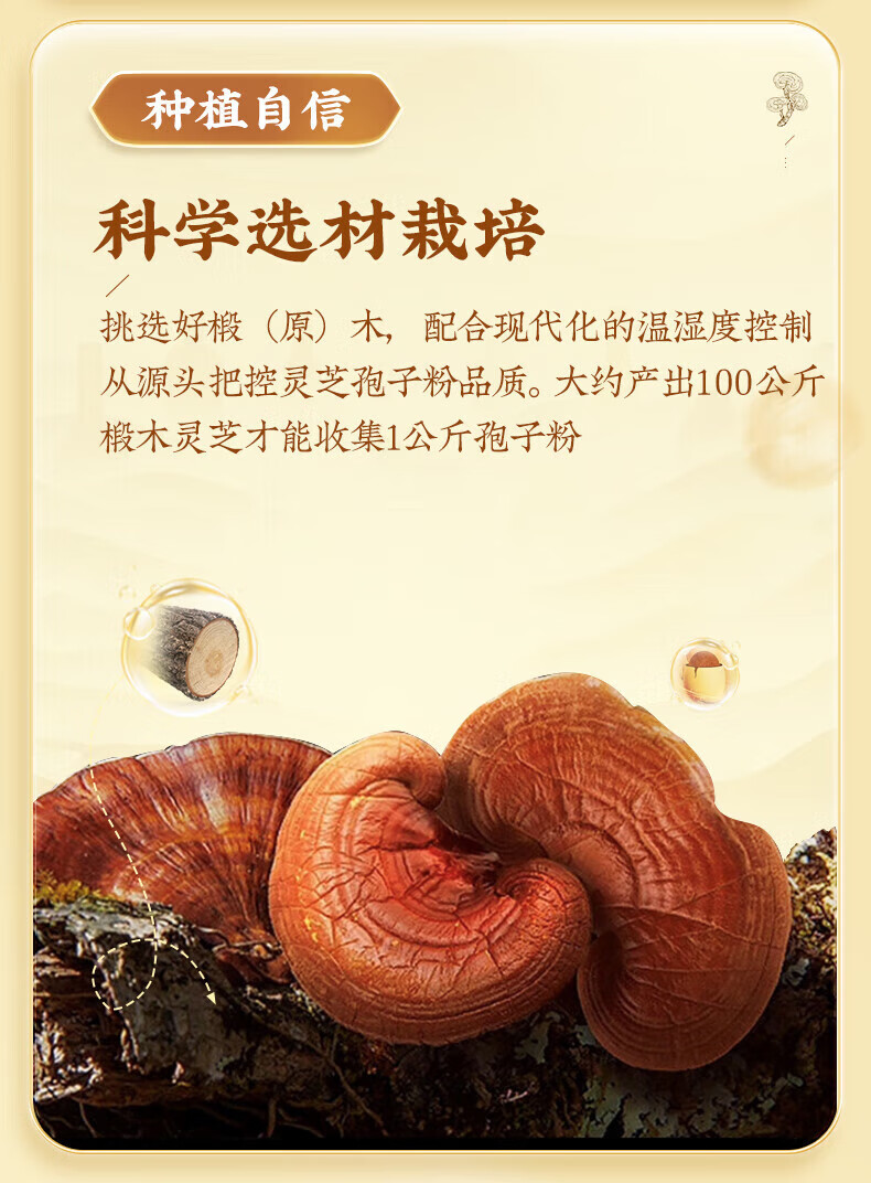 5c7413d9debdb31e.jpg