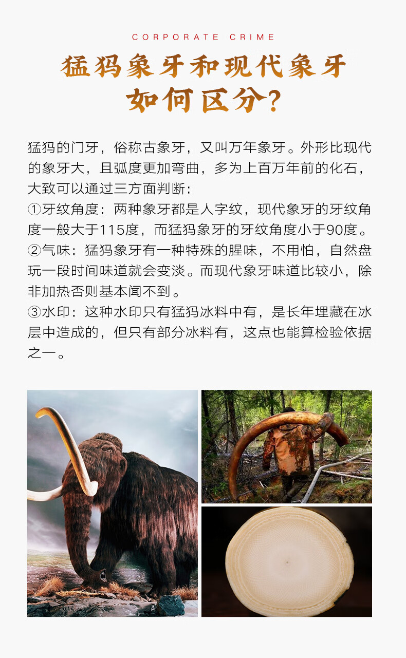a145857391e11f5b.jpg