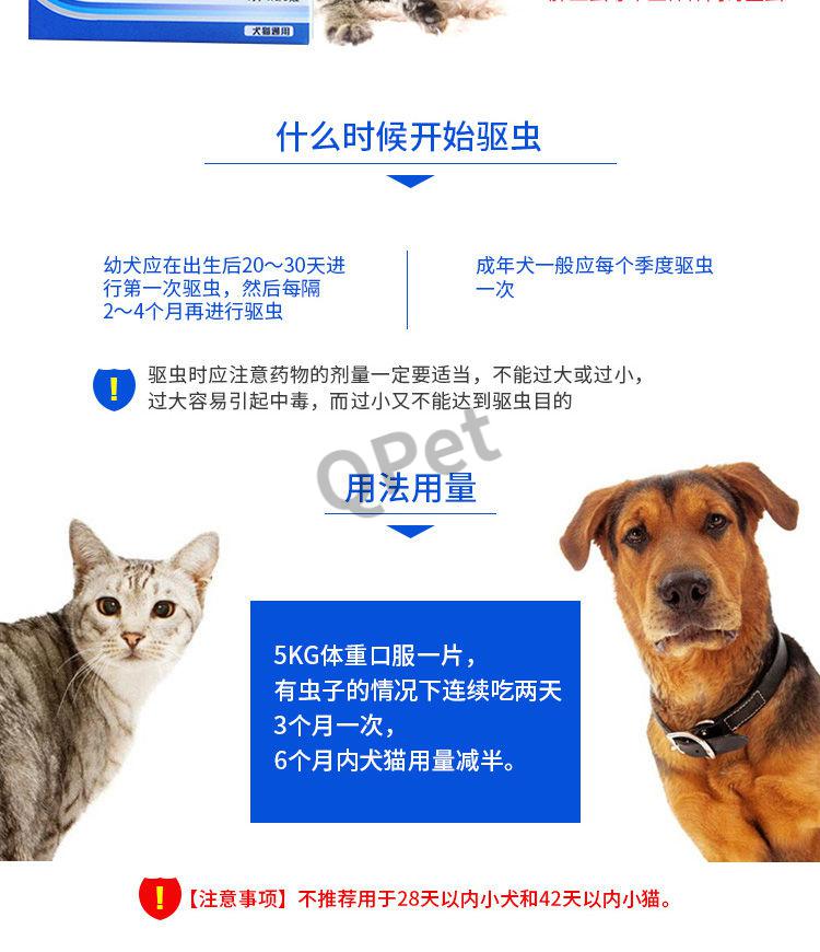 拜恩内虫清宠物成犬猫幼猫咪狗狗体内驱虫药打虫吡喹酮片 20粒整盒(可