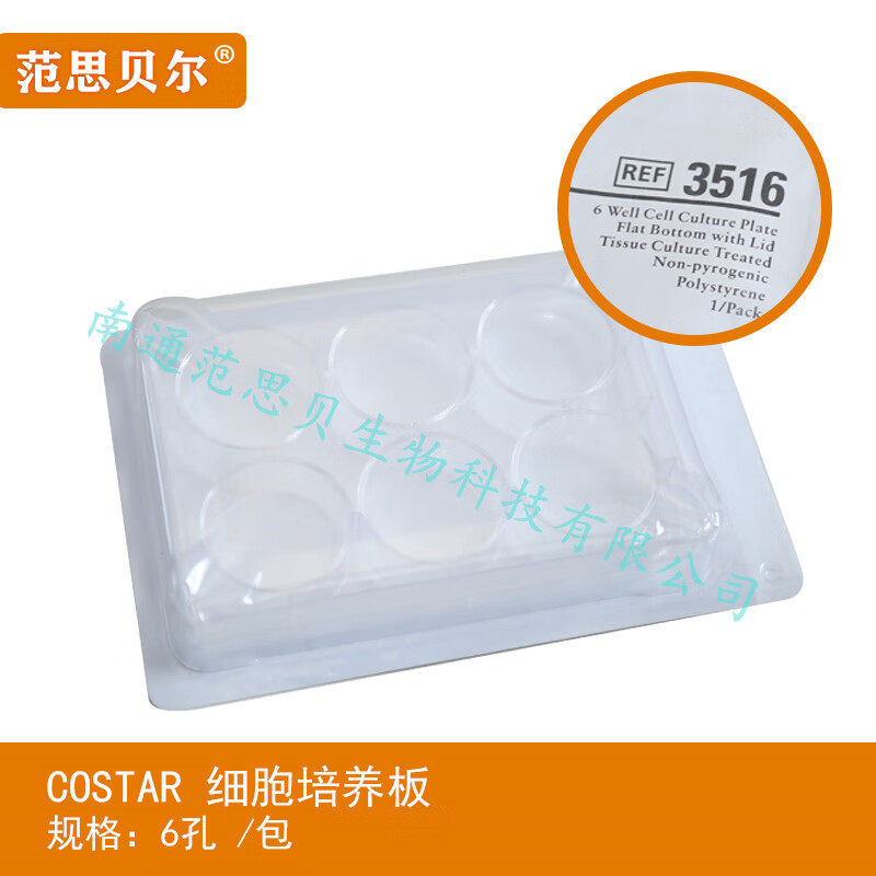 39f25844483e4a63.jpg