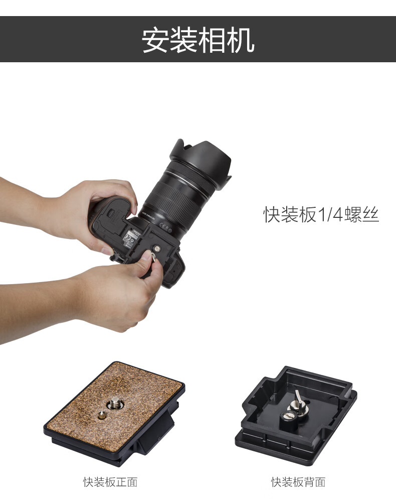 fdc581b6437d98f8.jpg