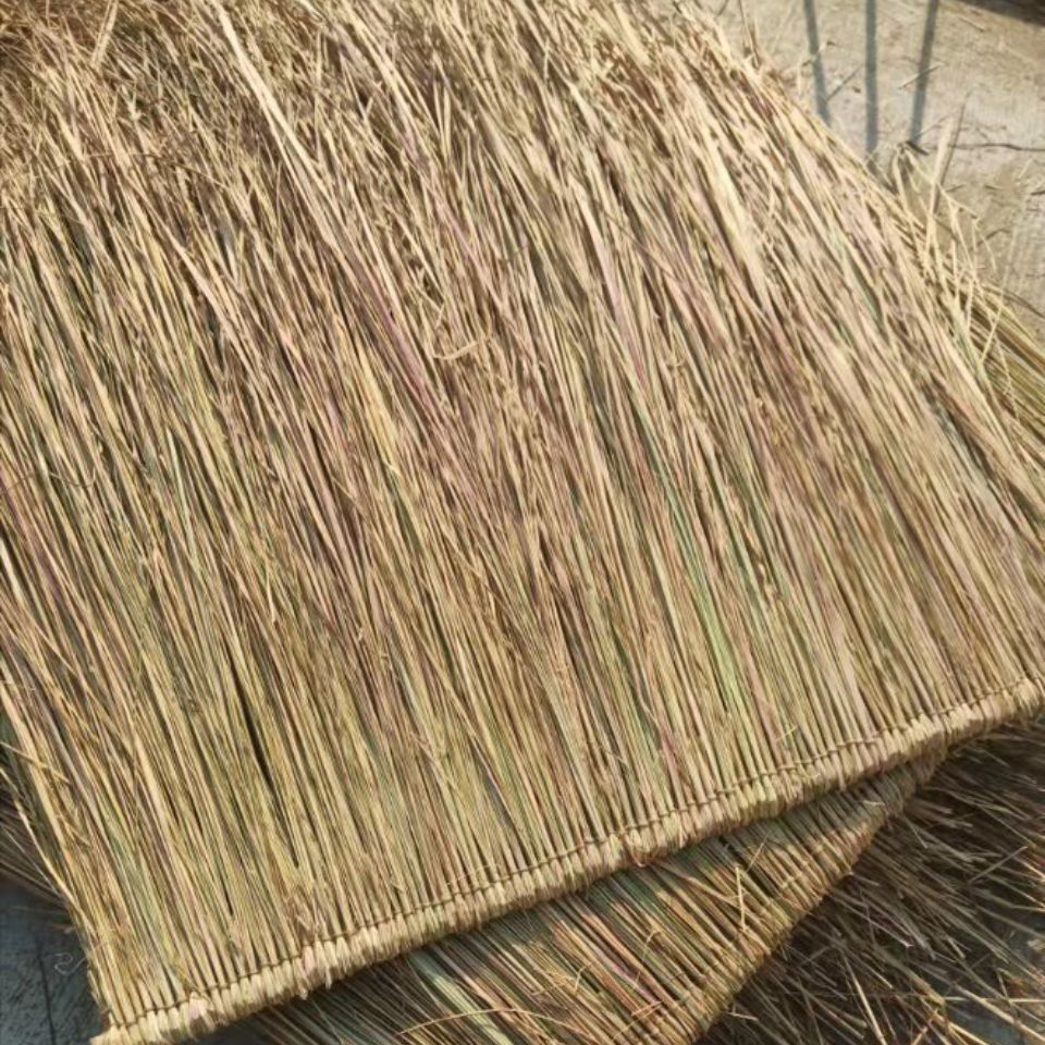 茅草屋真茅草天然茅草黄手工编织加厚毛草公园农家乐