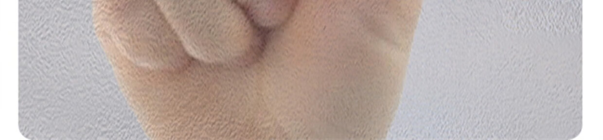 cae392e24a889d53.jpg