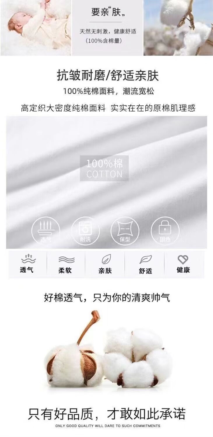 62fb65eb824305df.jpg