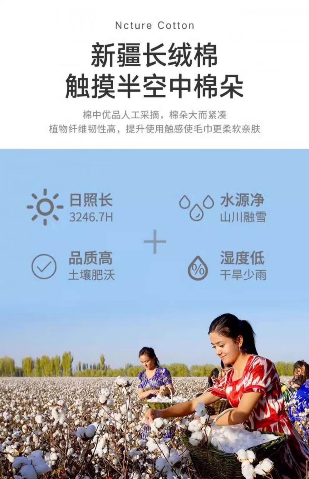 33e698db8fb55970.jpg