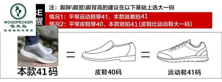 e1f714045a63edf1.jpg
