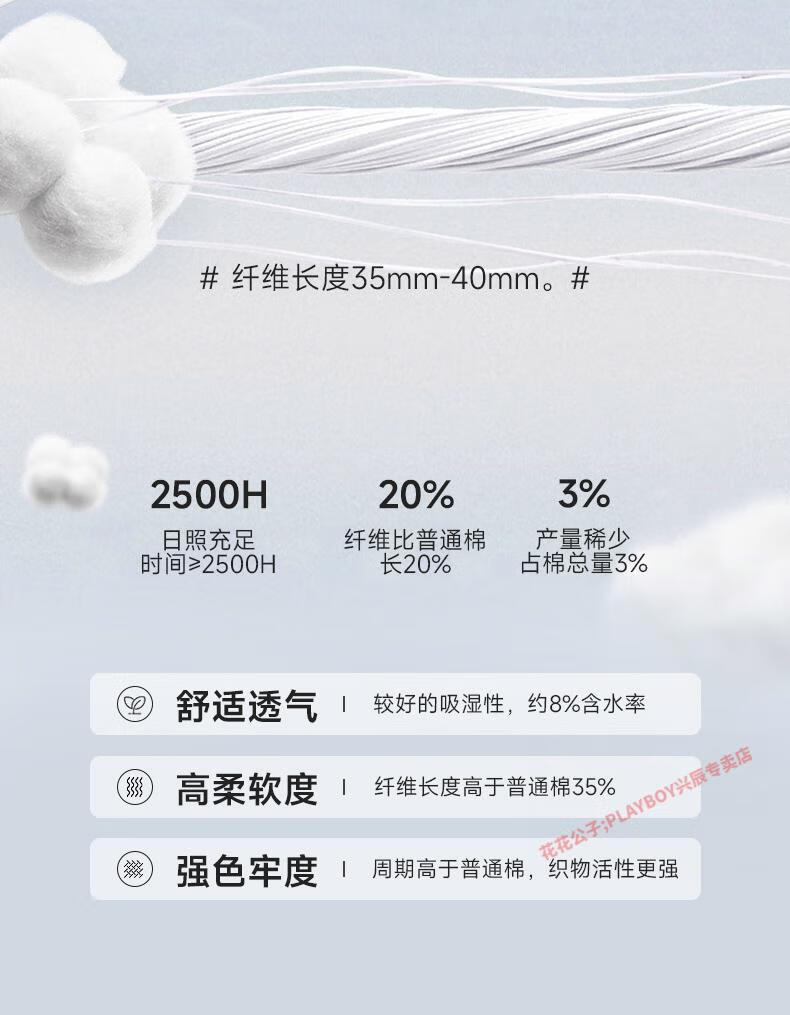bfe0698c94603a1d.jpg