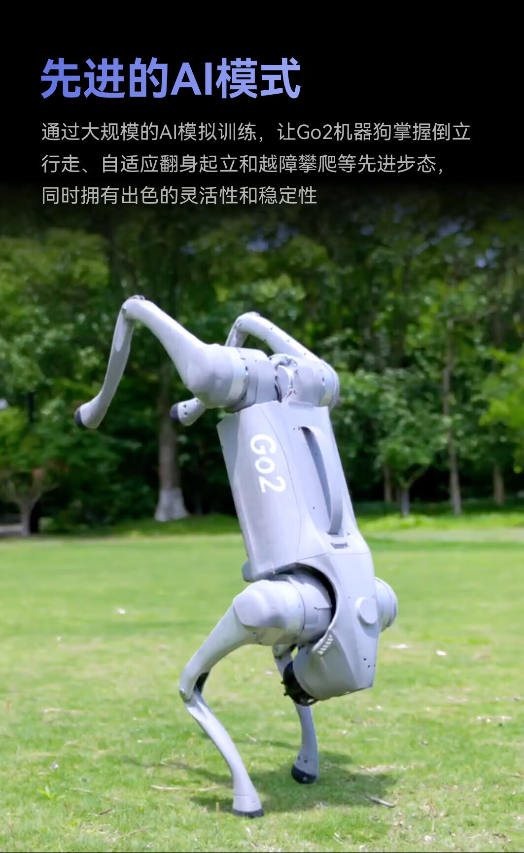 d51dab08824506ee.jpg