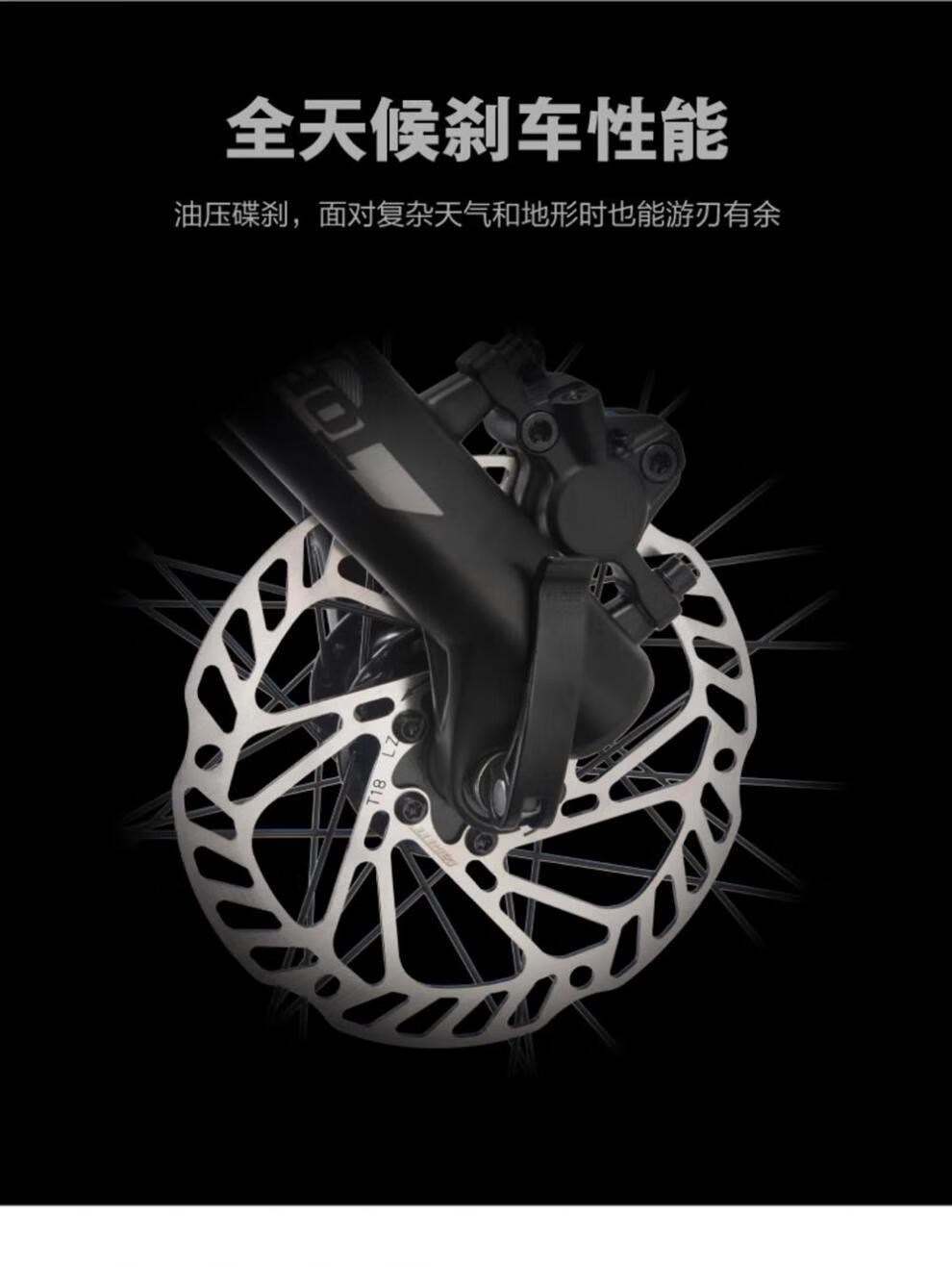 28facb965ee8ae9f.jpg